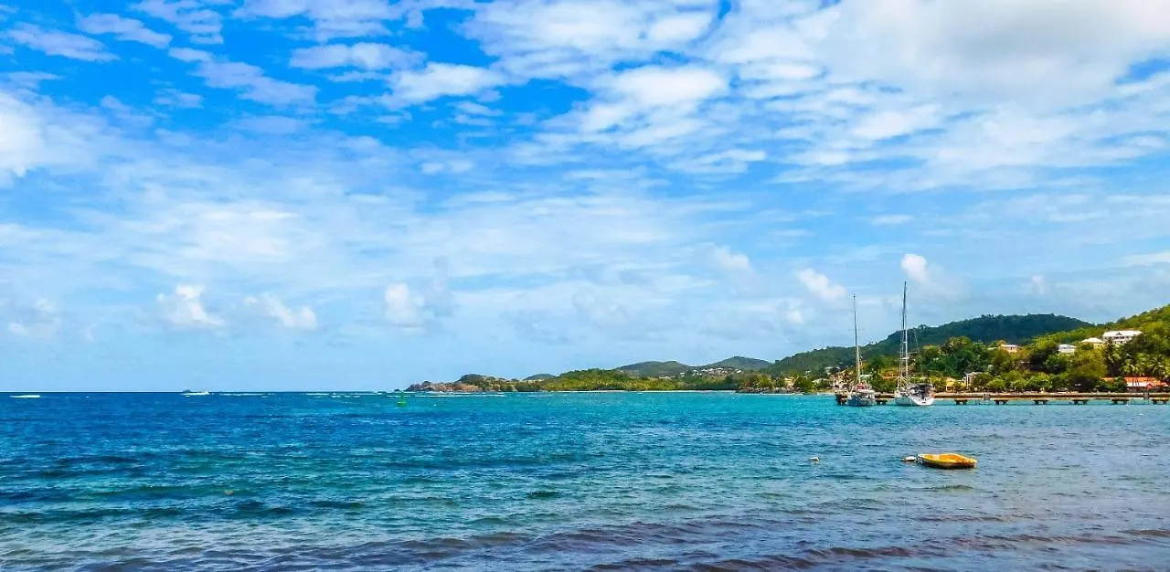 La Cocoteraie Tartane Villa Au Bord De L'Ocean  La Trinité